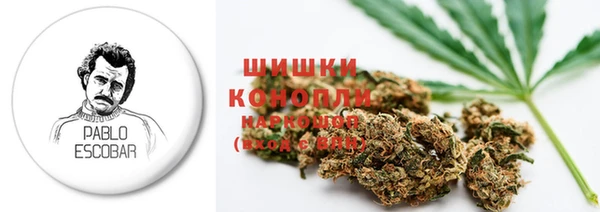 ГАЛЛЮЦИНОГЕННЫЕ ГРИБЫ Алексин